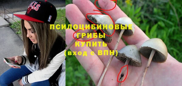 скорость Арсеньев