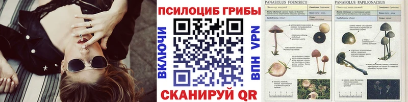 Галлюциногенные грибы Magic Shrooms наркота гидра ссылки Тетюши